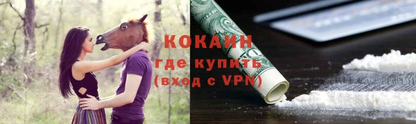 ПСИЛОЦИБИНОВЫЕ ГРИБЫ Пересвет