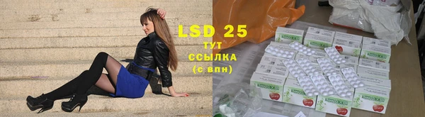 ПСИЛОЦИБИНОВЫЕ ГРИБЫ Пересвет