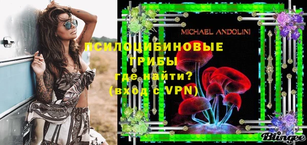 ПСИЛОЦИБИНОВЫЕ ГРИБЫ Пересвет