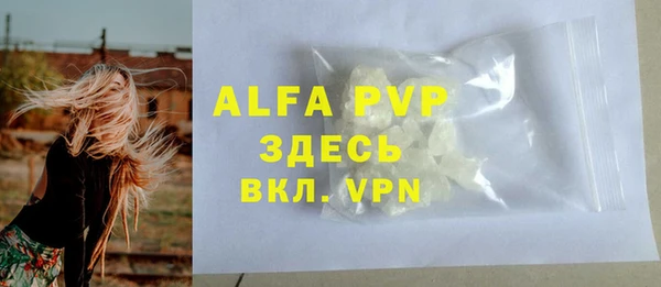 ПСИЛОЦИБИНОВЫЕ ГРИБЫ Пересвет