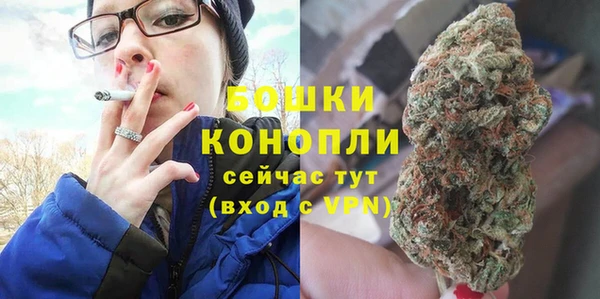 ПСИЛОЦИБИНОВЫЕ ГРИБЫ Пересвет