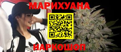 крисы Аргун