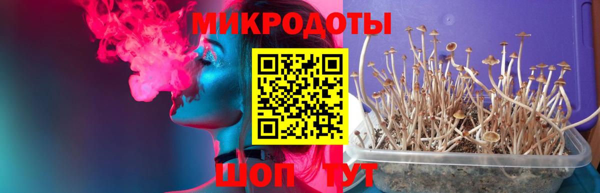 Калач-на-Дону  Псилоцибиновые грибы GOLDEN TEACHER  Вход с VPN  Галлюциногенные грибы MAGIC MUSHROOMS 
